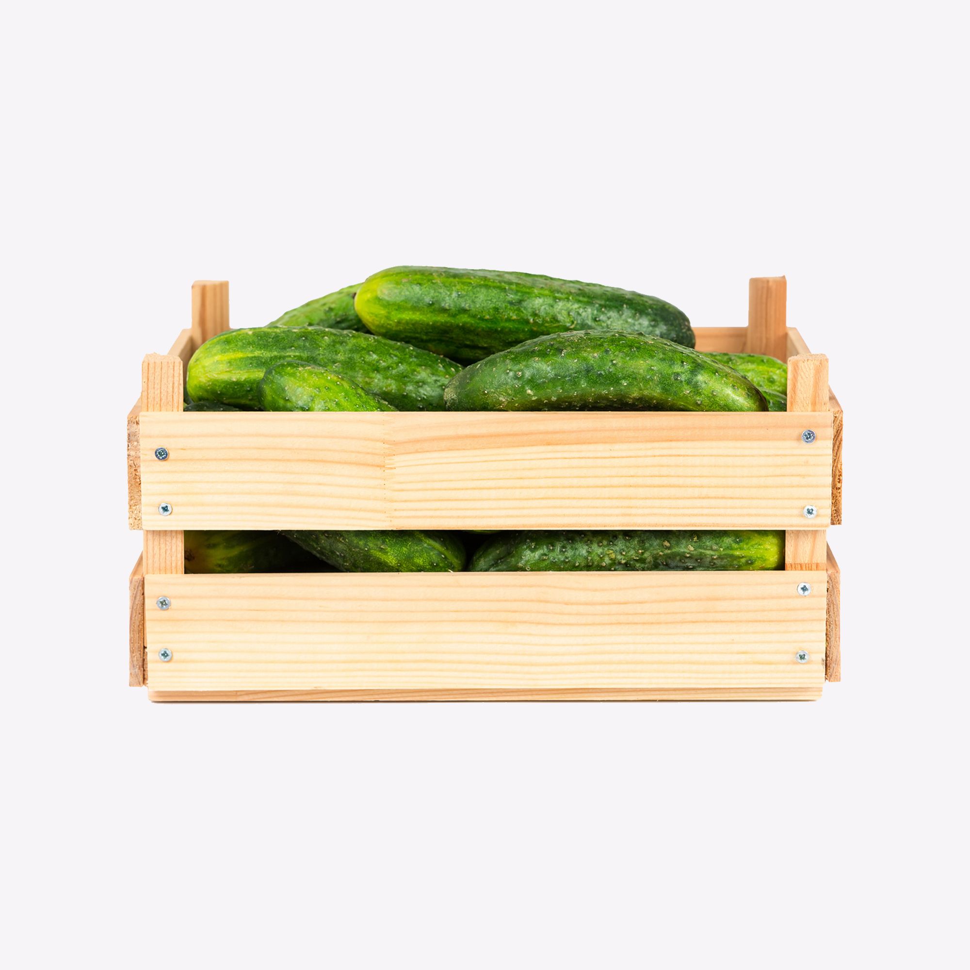 Refresh Box - Image 5